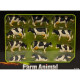 12 Vaches HOLSTEIN 571929 Kids Globe Farming 1/32