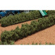 2 haies buisson de 33 cm BT2090 BRUSHWOOD 1/32