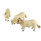 2 vaches 1 taureau CHAROLAIS 43240 BRITAINS 1/32