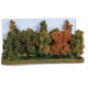 10 arbres automne 10-14 cm K2000