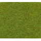 Tapis herbe vert clair K30901 HEKI 1/32